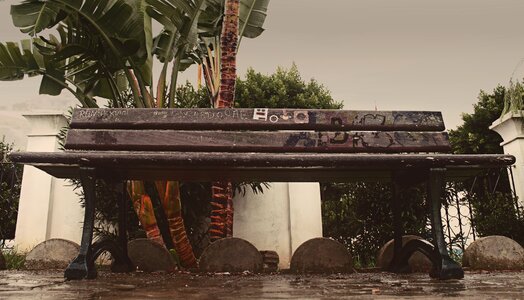 Water rainy bench