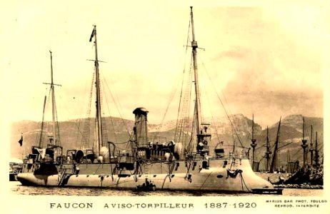 Faucon119