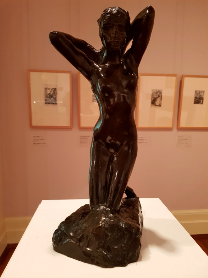 FaunesseGenoux Rodin PerthStateArtGall 20171215 1