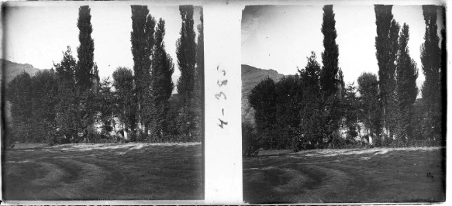 Façana de l'església de Santa Maria d ' Aneu entre els arbres
