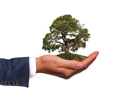 Nature conservation hand keep