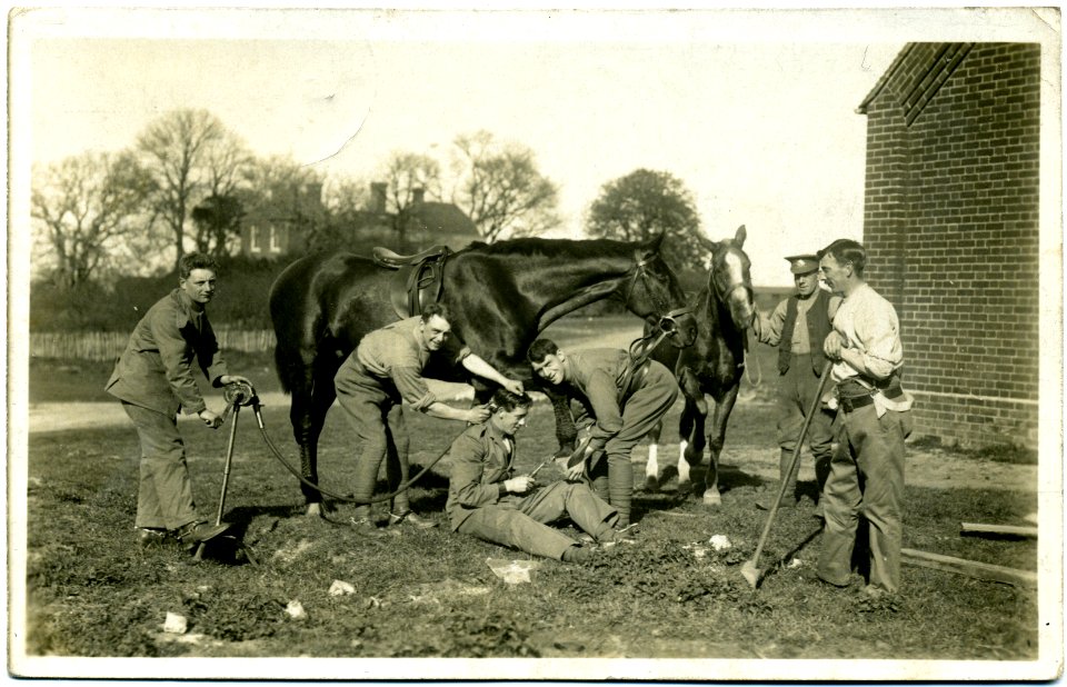 FCP World War I horses 1915