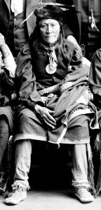 February 1891 detail of Two Strikes, Oglala Sioux delegation LCCN93516876 (cropped)