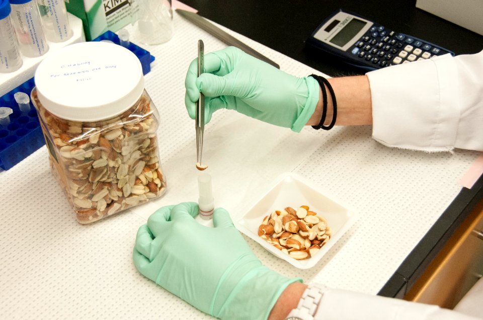 FDA Center for Food Safety & Applied Nutrition (CFSAN) 6536