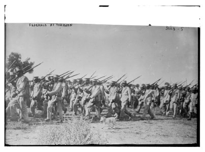 Federals at Torreon LCCN2014695763