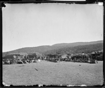 FEEDING INDIANS CAMP APACHE, ARIZONA - NARA - 524211