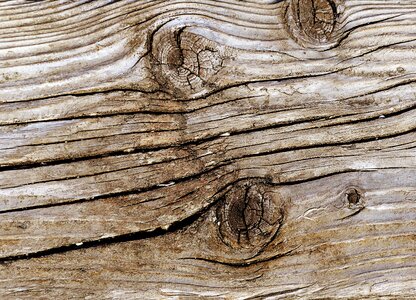 Background texture hardwood photo