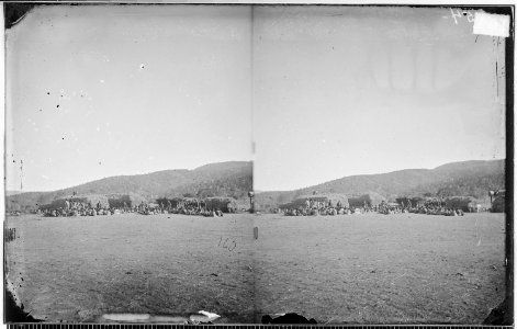 FEEDING INDIANS CAMP APACHE, ARIZONA - NARA - 523921