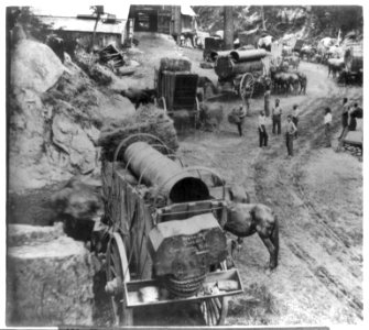 Feeding the teams - scene on the Placerville Route LCCN2002719098