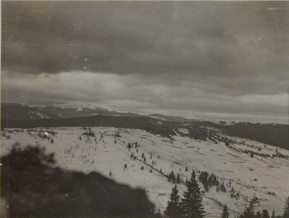 Feindliche Stellung bei Jakobeny, Valeputnastrasse. (BildID 15451931)