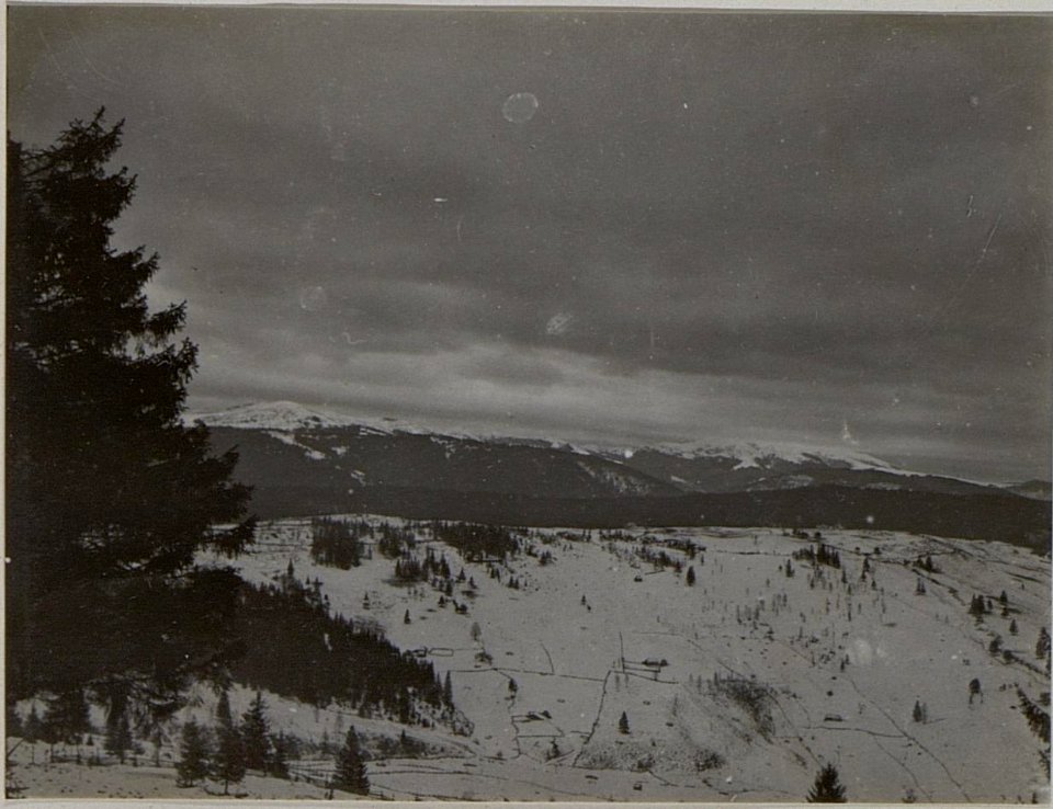 Feindliche Stellung bei Jakobeny, Valeputnastrasse. (BildID 15451952)