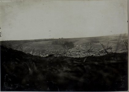 Feindliche Stellung, aufgenommen aus der Stellung beim Infanterie Regimente Nro.1. (BildID 15447994)