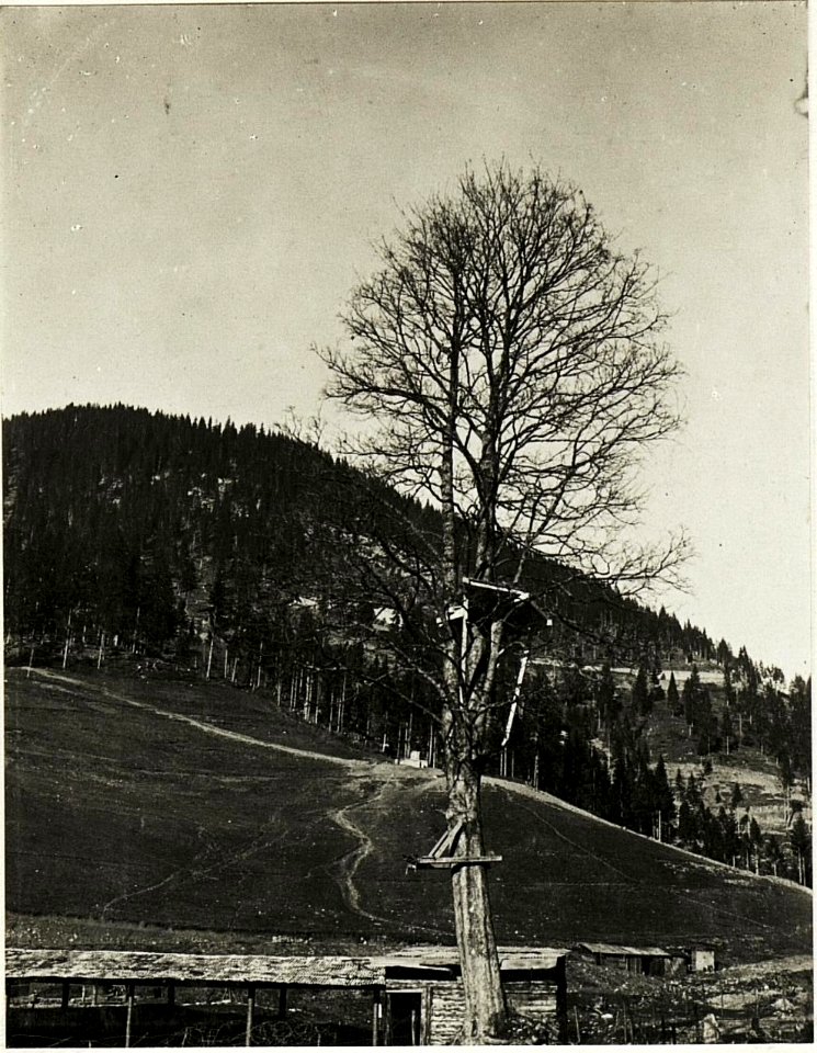 Feindlicher Beobachtungsstand bei Pian (BildID 15419534)