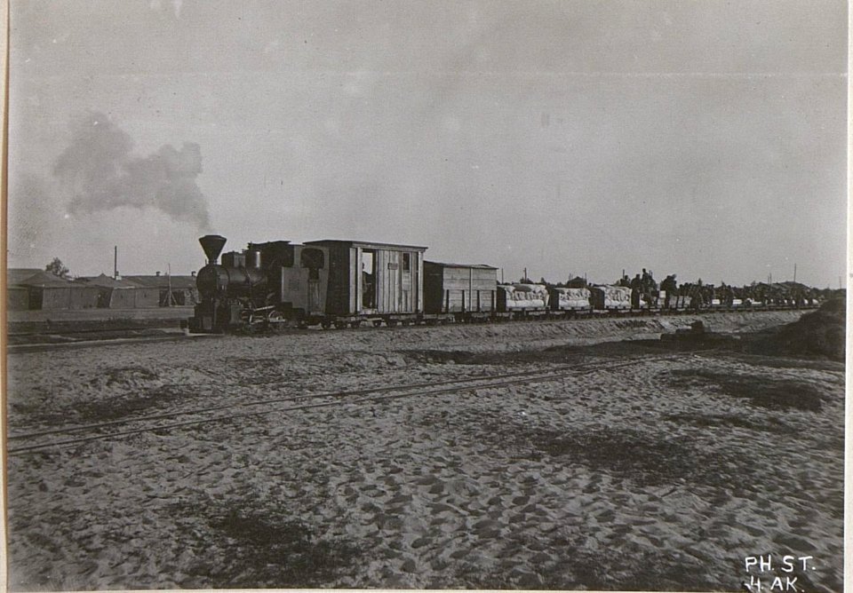Feldbahn in Czernemoszno (BildID 15696309)