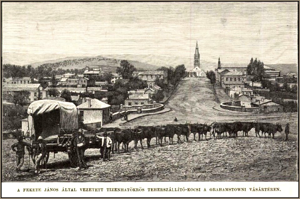 Fekete János, a 16 ökrös fogat gazdája a Holub expedícióban, Vasárnapi Ujság, 1889