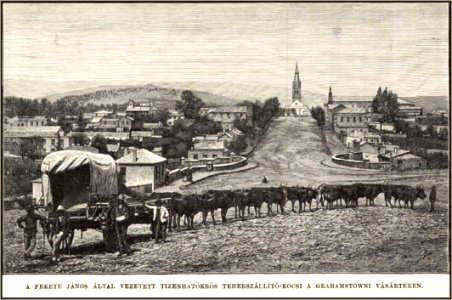 Fekete János, a 16 ökrös fogat gazdája a Holub expedícióban, Vasárnapi Ujság, 1889