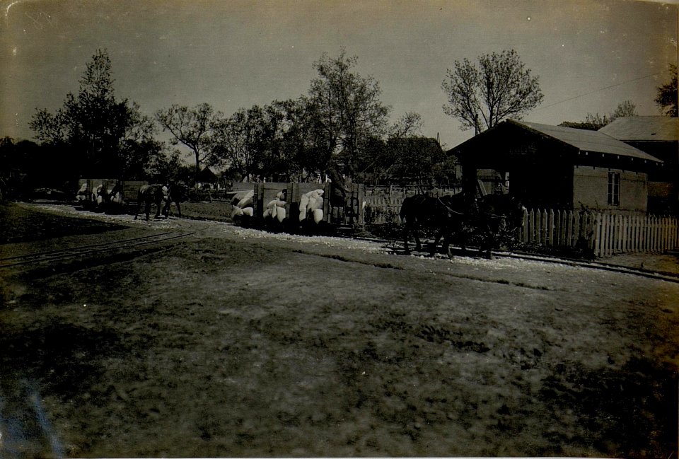 Feldbahn. (BildID 15522148)