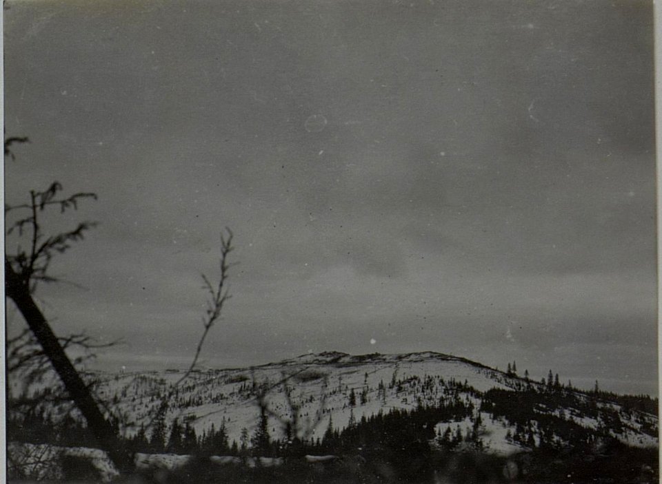 Feindliche Stellung bei Jakobeny, Valeputnastrasse. (BildID 15451966)