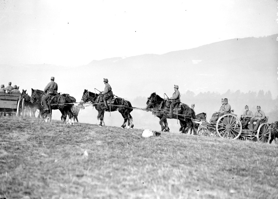 Feldartillerie auf dem Marsch - CH-BAR - 3238108