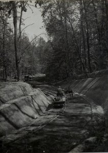 Feldbahn im Walde zwischen Milcza und Bielogorodka (BildID 15443435)