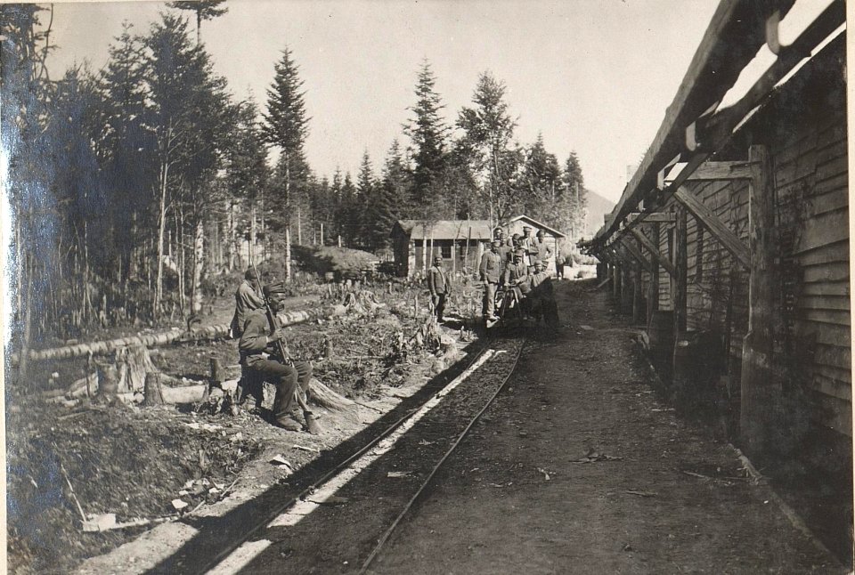Feldbahn der Umladestelle, Ternovanerwald. (BildID 15598805)