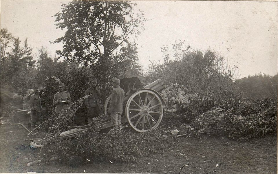 Feldgeschütz im Ternovanerwald.27.8.17. (BildID 15599422)