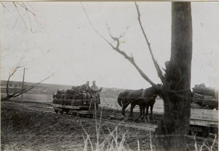 Feldbahn, Transport von Stacheldraht (BildID 15442048)
