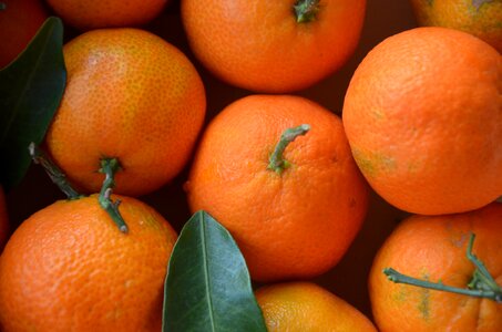 Mandarins citrus fruits orange