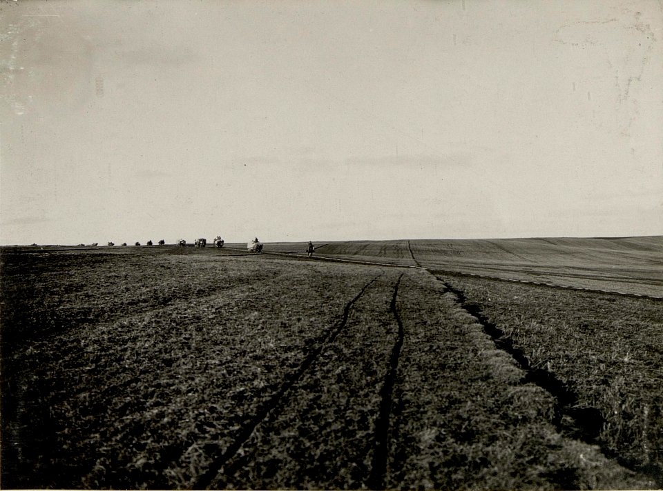 Feldbahnzug während der Fahrt bei Ostrozec, 28.I. 1916 (BildID 15541393)