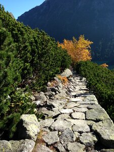 The high tatras landscape nature