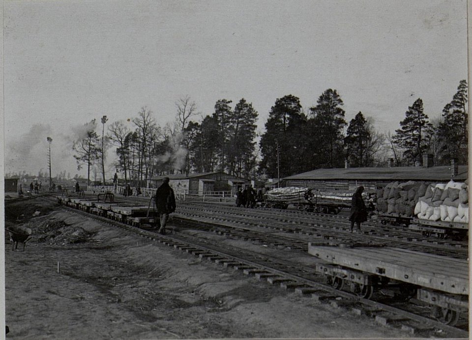 Feldbahnstation Rogozno (BildID 15456780)