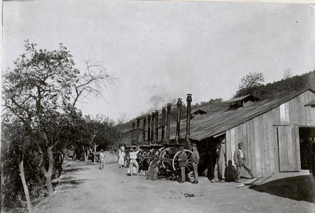 Feldbäckerei a.d.Isonzofront. 3.9.17. (BildID 15603236)