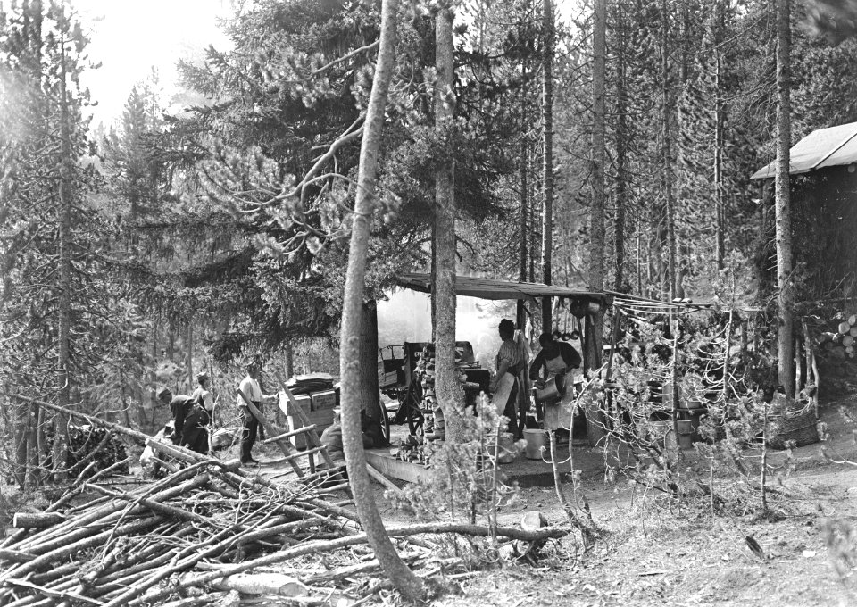 Feldküche im Wald des Nationalparks - CH-BAR - 3239880