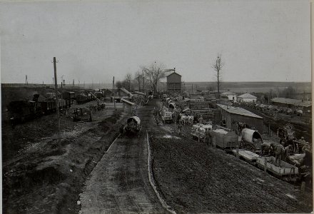 Feldbahn beimBahnhof Jezierna (BildID 15442013)