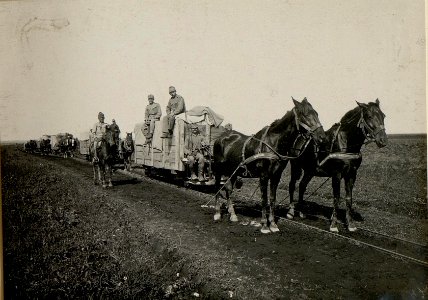 Feldbahn in Podhajce (BildID 15525881)