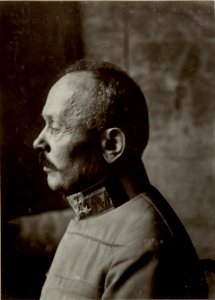 Feldmarschall Svetozar Boroevic von Bojna, General der Infanterie, Kommandeur der 5. Armee, Frontalaufnahme des Gesichts (5)