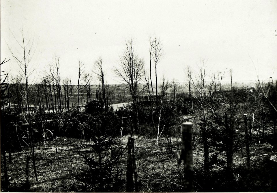 Feldhaubitzbatterie 4-15, westlich Stanislau, 19.April 1917. (BildID 15590436)