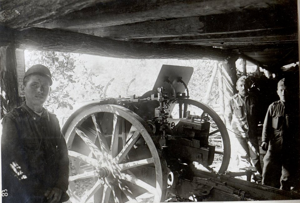 Feldhaubitze bei Bukovica. (BildID 15602452)