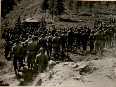 Feldmesse anlässlich des Geburtstages Sr.Majestät.(17-8.1917.) (BildID 15803541)