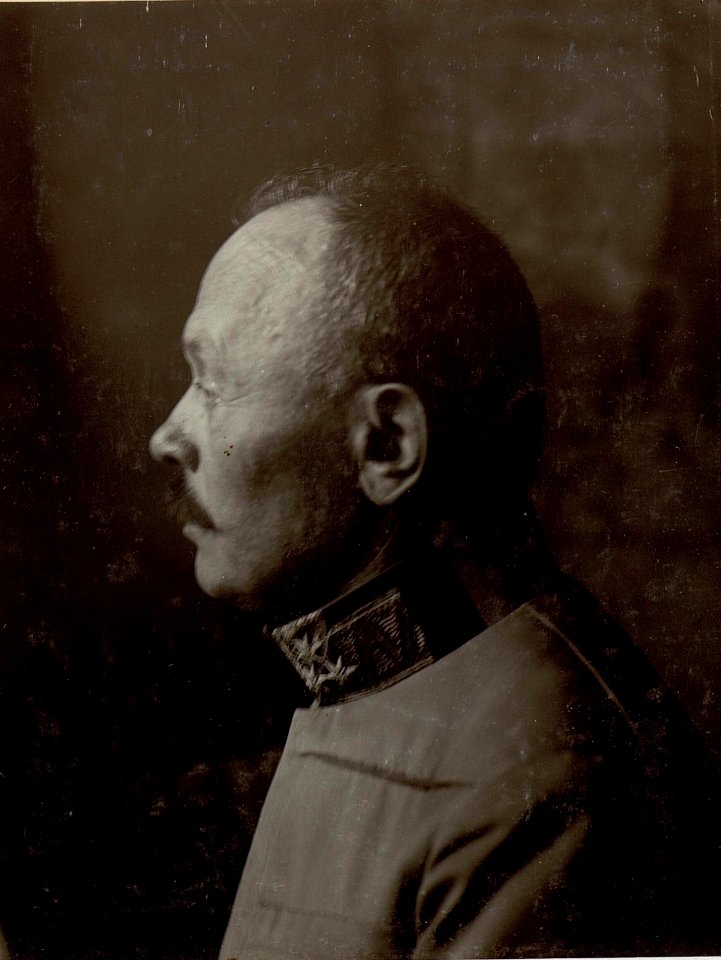 Feldmarschall Svetozar Boroevic von Bojna, General der Infanterie, Kommandeur der 5. Armee, Frontalaufnahme des Gesichts (6)