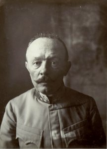 Feldmarschall Svetozar Boroevic von Bojna, General der Infanterie, Kommandeur der 5. Armee, Frontalaufnahme des Gesichts
