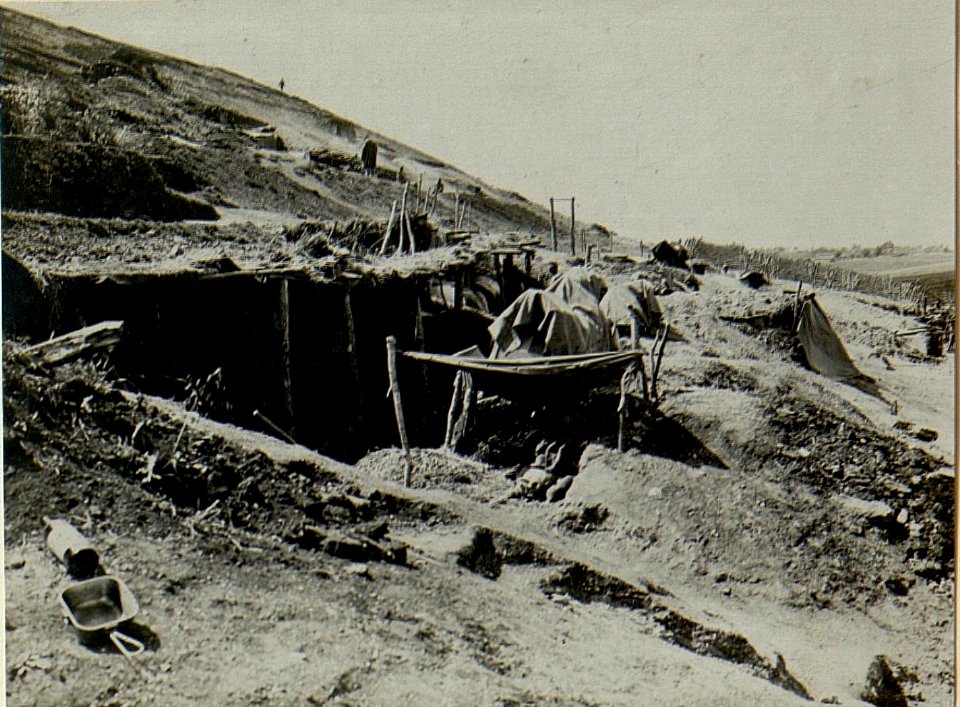 Feldmarschalleutnant Hofmann bei LIR.19 (BildID 15527450)