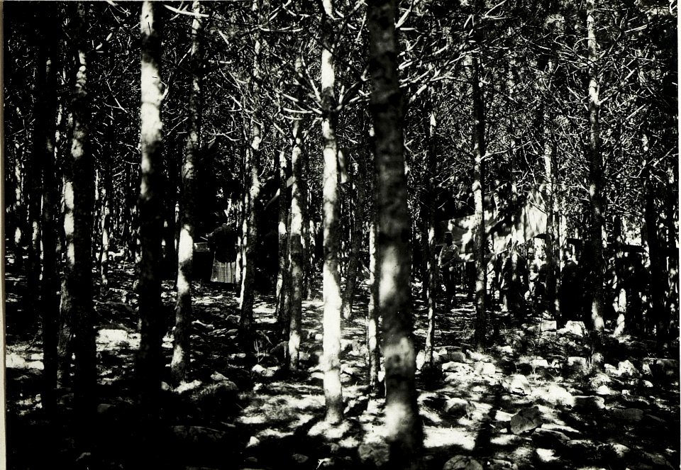 Feldmesse am 18. August 1915 im Vojcicer Wald. (BildID 15586745)