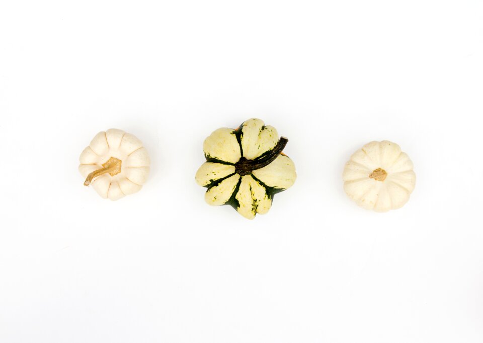 Squash vegetable food