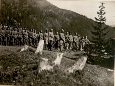 Feldmesse anlässlich des Geburtstages Sr.Majestät, (17-8.1917.) (BildID 15803548)