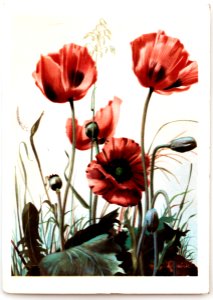 Feldpost von Hans 1942-05-21 1