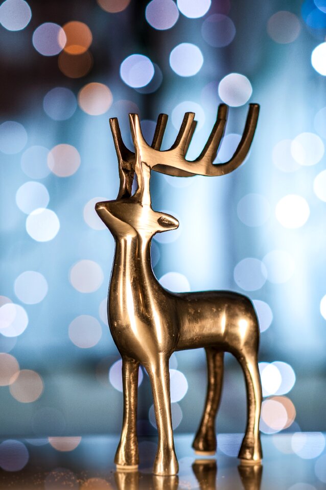Bokeh christmas card advent