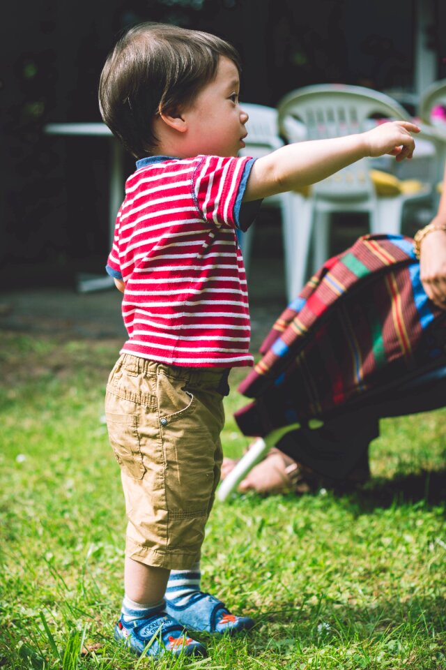 Playground green grass photo