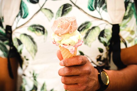 Frozen dessert sweets