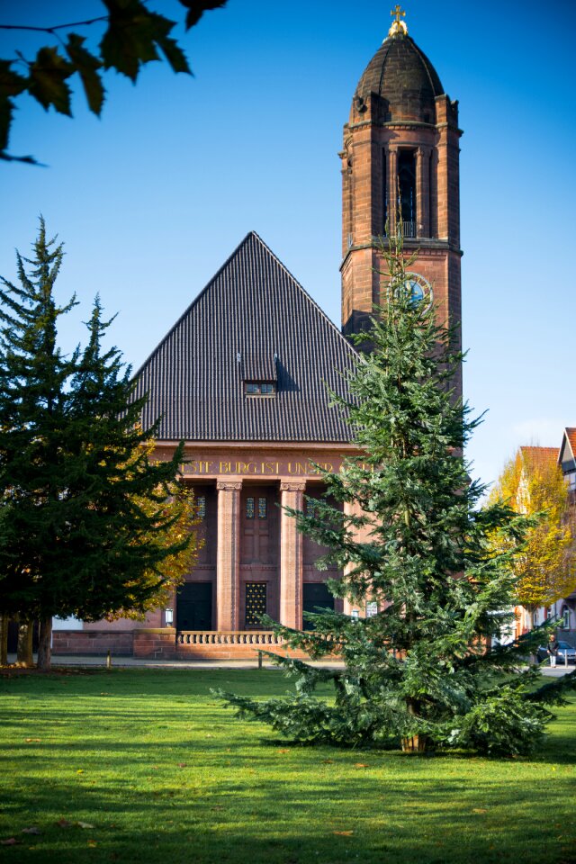 Luther bible protestant